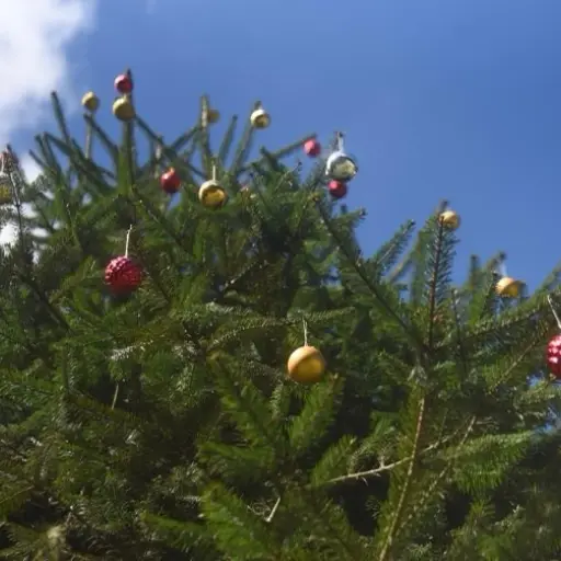 Foto: Omar Solís/EU