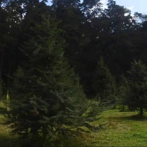 Foto: Omar Solís/EU