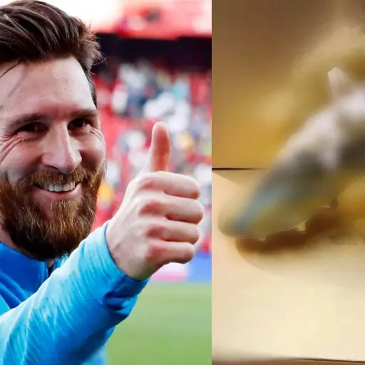 Messi botines para el Mundial 2022 (2) ,