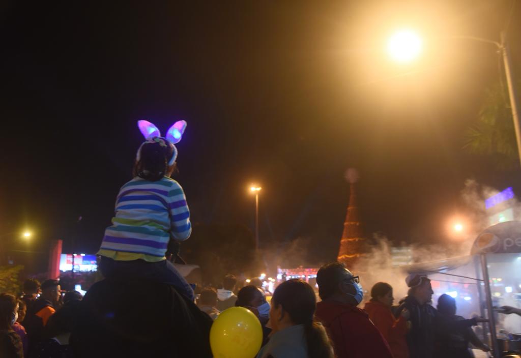 Se inician festividades navideñas con el encendido del Árbol Gallo-2 | 