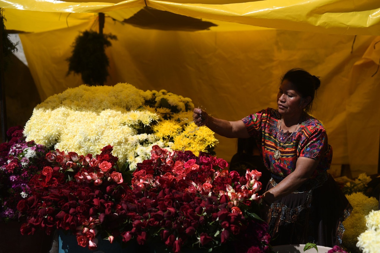 dia-de-todos-los-santos-2022-cementerio-general- | 