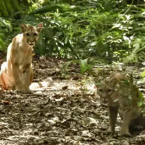 Foto: Facebook/Francisco Asturias.