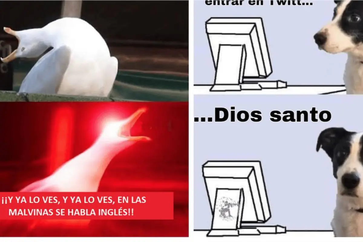memes-previa-argentina-mexico-mundial-catar-2022-publinews-.png, 