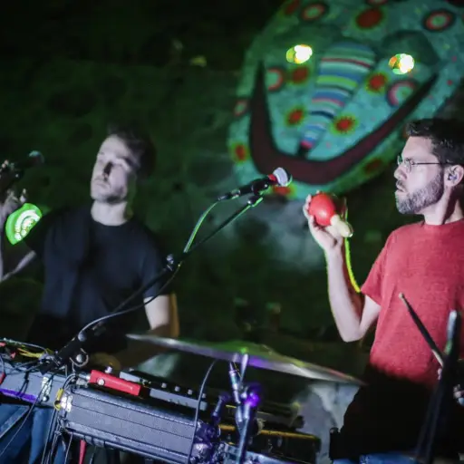 las voces del lago ,