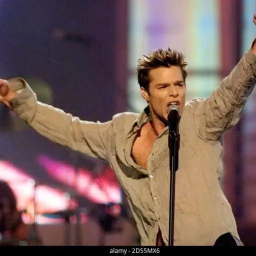 ricky martin ,
