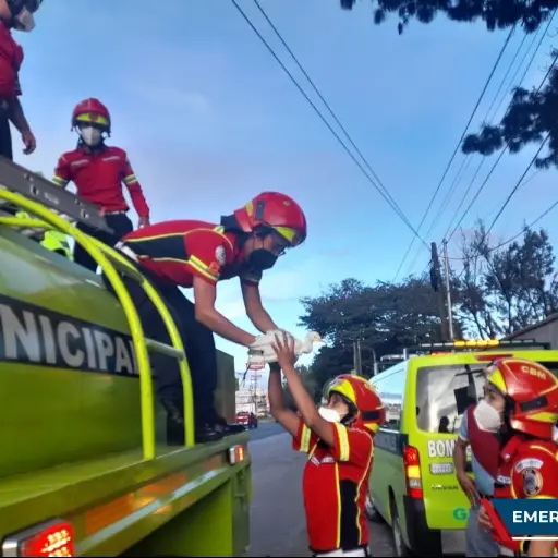Bomberos rescatan dos aves exóticas. / Foto: CBM