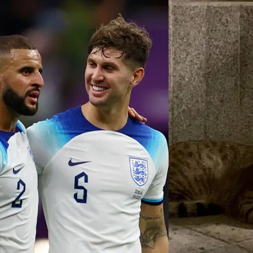 Mundial Qatar 2022 Kyle Walker Stones gato ,