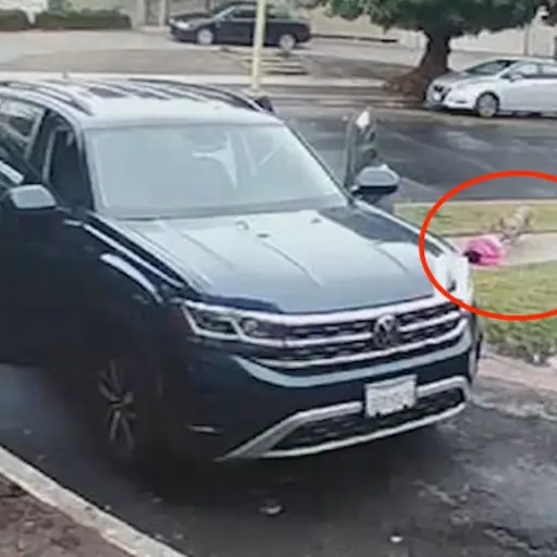 Captura de pantalla video.