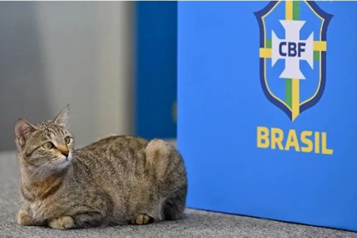 Selección de Brasil gato conferencia de prensa Foto AFP, 