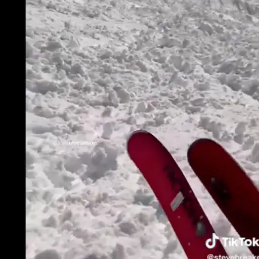 avalancha sepulta a 10 esquiadores en Austria ,