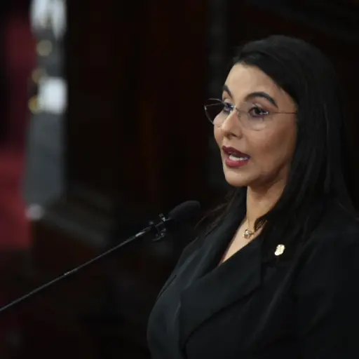 Shirley Rivera, presidenta del Congreso. /Foto: Edwin Bercián