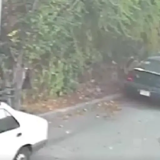 ba a comprar un carro y terminó perdiendo la vida ,