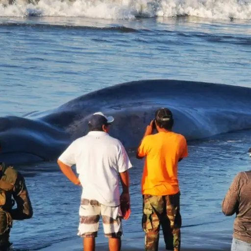 Foto: Bomberos Voluntarios