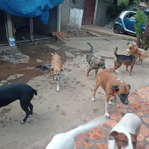 Foto: Ana Valenzuela/Facebook. 