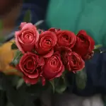 Las flores siguen siendo tendencia de regalo en San Valentínt