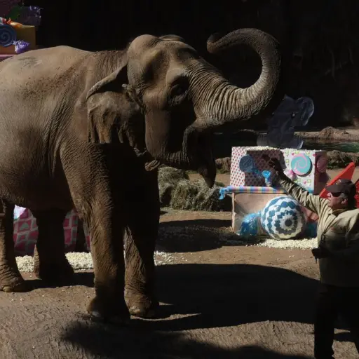 Trompita cumpleaños 62 Emisoras Unidas Febrero 2023 ,