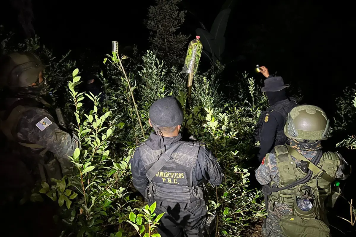 Erradicacion-Coca-La-Tinta-Alta-Verapaz-Febrero-2023.jpg, 