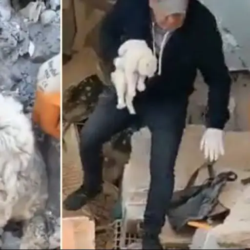 Capturas de pantalla de Twitter