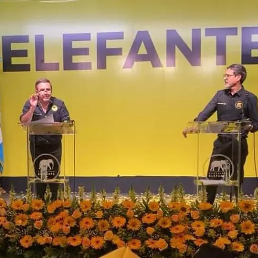 Elefante - febrero 2023 ,