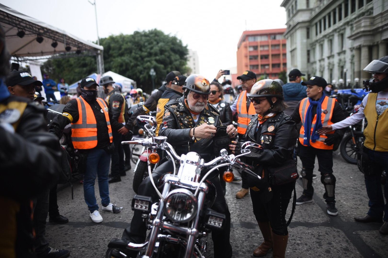 Zorro mayor - caravana del zorro- febrero 2023 | 