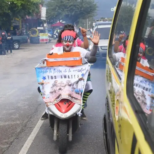 Elefantito payasito con cáncer - caravana del zorro - febrero 2023 ,