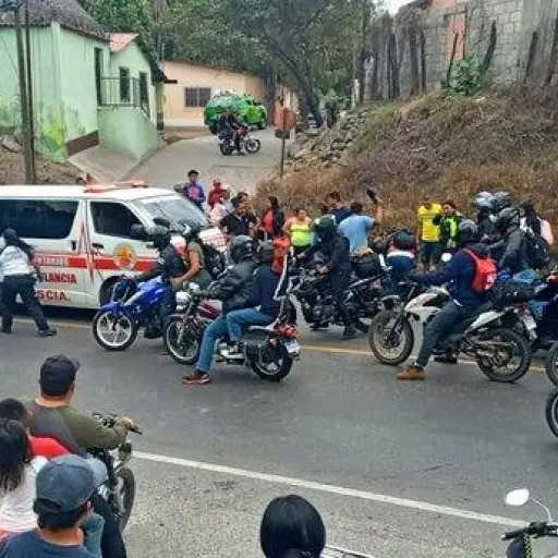 PMT atropellado - caravana del zorro - febrero 2023 ,