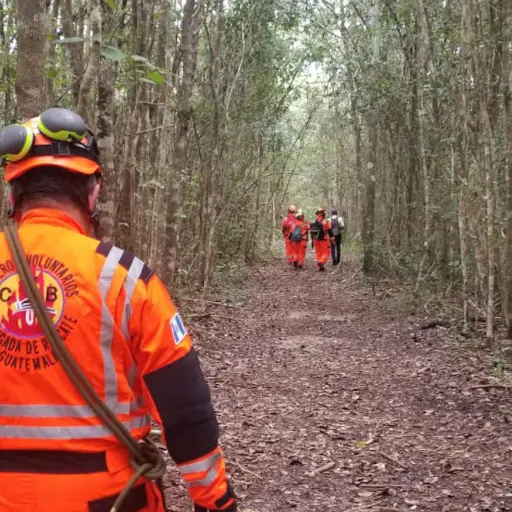 Foto ilustrativa de archivo: Parque Nacional Tikal. 