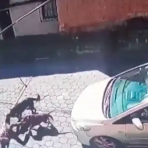 Captura de pantalla video Facebook. 