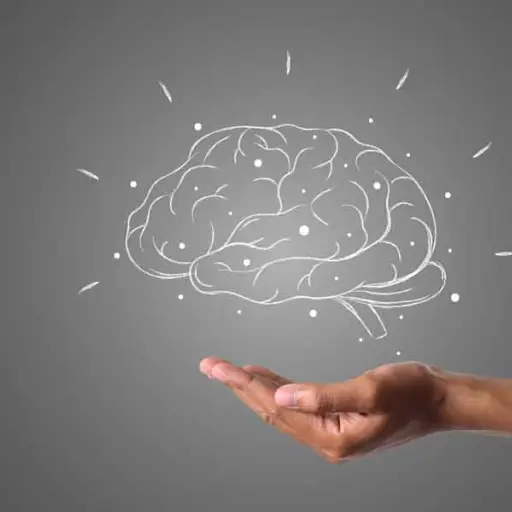 Cociente intelectual humano ,