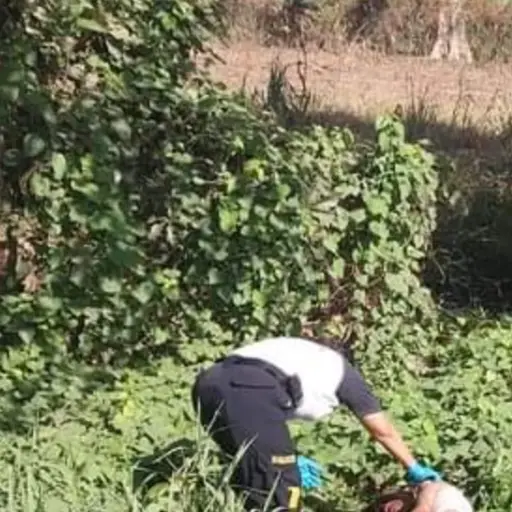 Foto: Bomberos Voluntarios