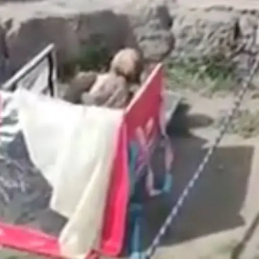 Hallan momia de 800 anos de antiguedad en mochila de repartidor ,