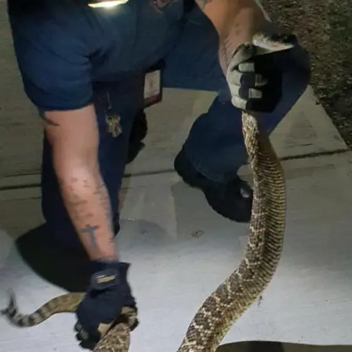 Imagen con fines ilustrativos 