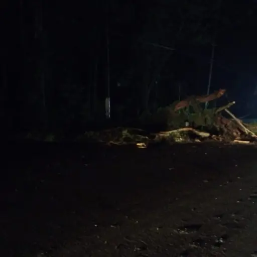 Morotista colisiona contra árbol y fallece. Foto: Cruz Roja Guatemalteca