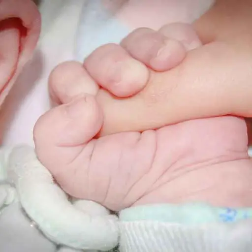 Foto ilustrativa: Pixabay.com