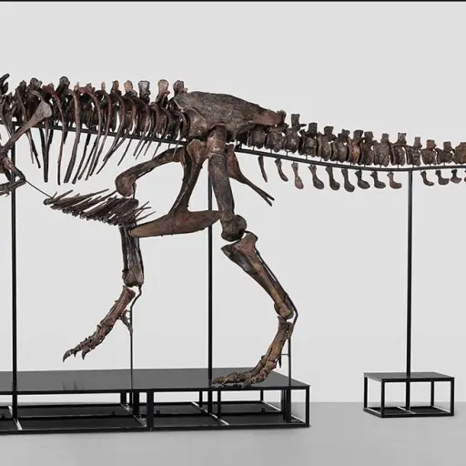 Koller International Auctions