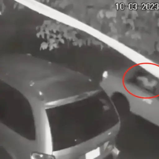 Captura de pantalla video. 