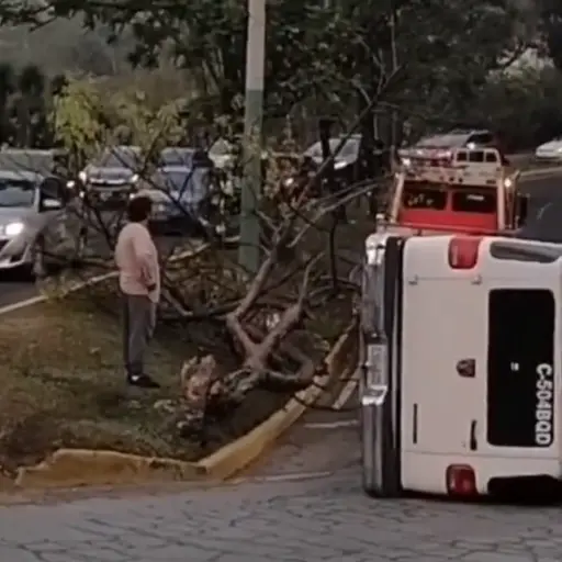 Foto: PMT capitalina