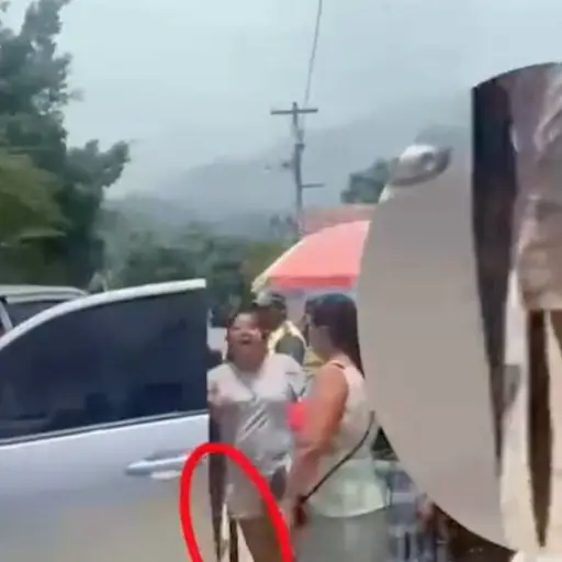 Captura de pantalla video. 