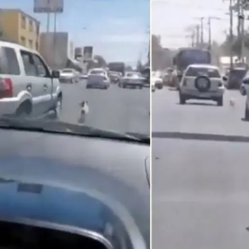 Capturas de pantalla de Twitter