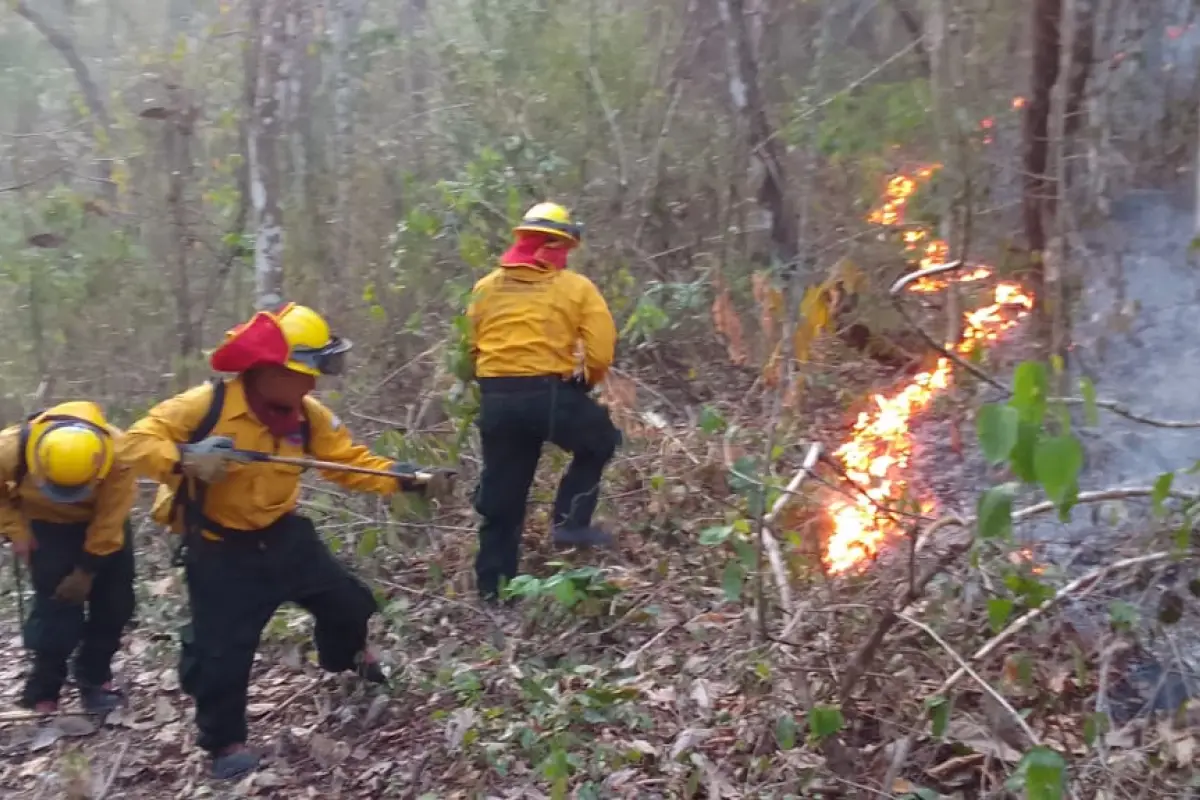 incendios-forestales-Peten-abril-2023.jpg, 