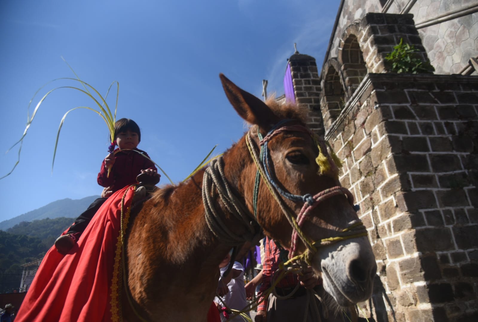 Domingo de ramos - 2 abril 2023 | 