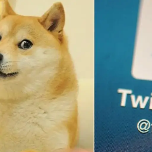 Twitter cambia logo por un Doge ,