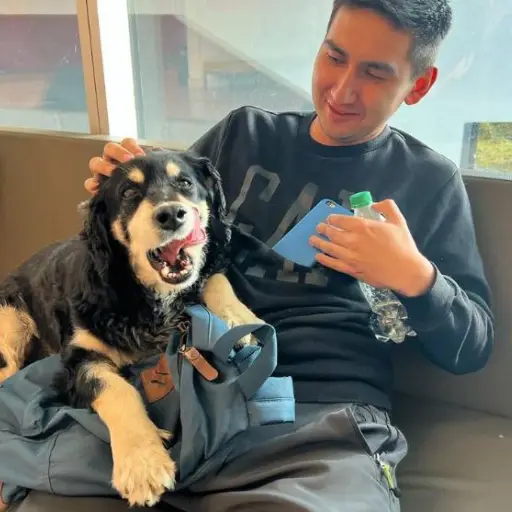 Instagram / @nahuel_incapino_oficial