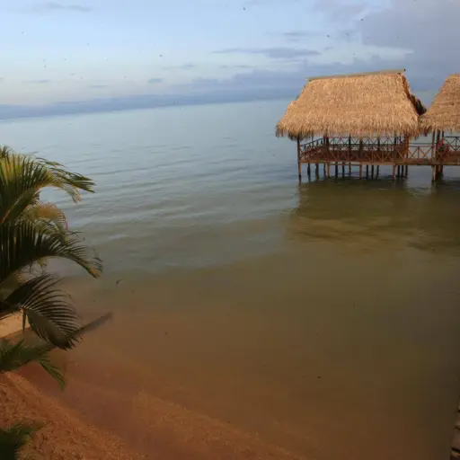 Foto: Oliver Paniagua