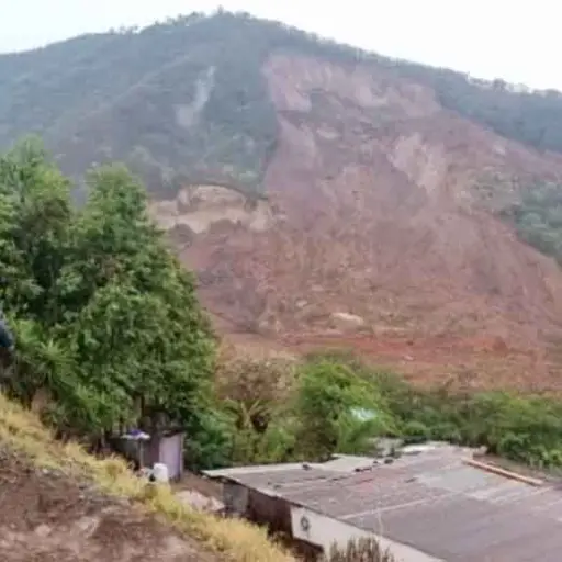 Foto: Captura de pantalla