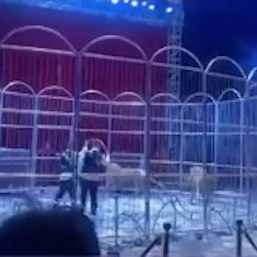 Captura de pantalla video. 