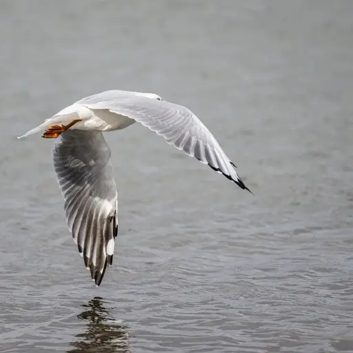 Imagen con fines ilustrativos | pixabay.com