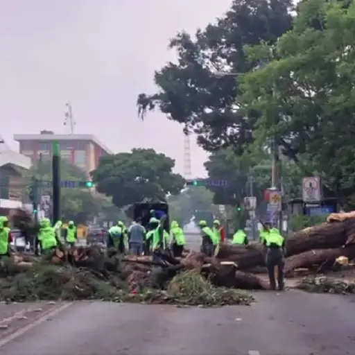 Foto: PMT capitalina