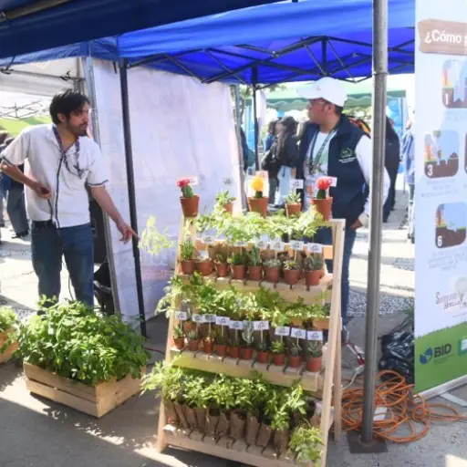 Foto: Omar Solís/EU