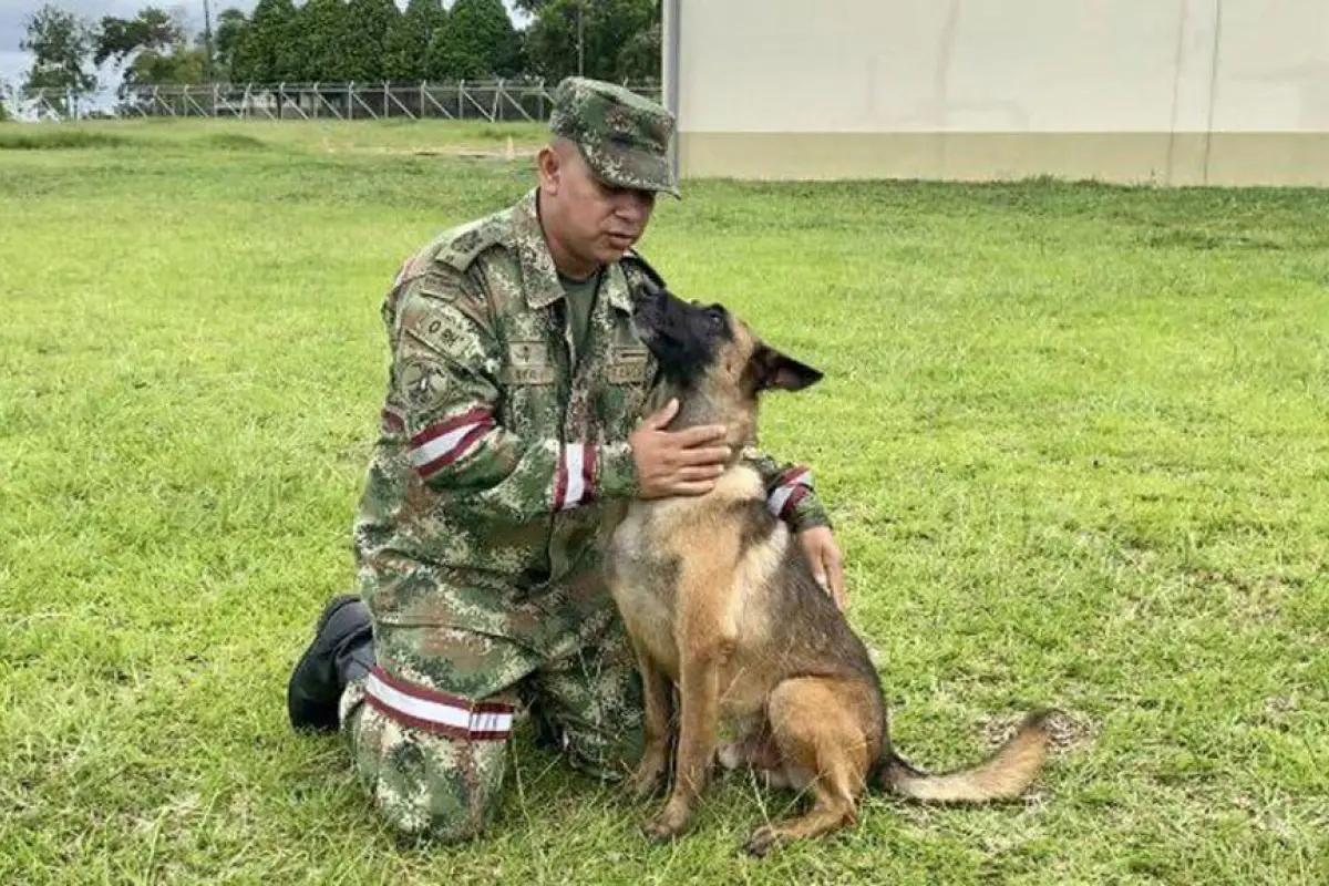 Foto: Ejército Nacional de Colombia